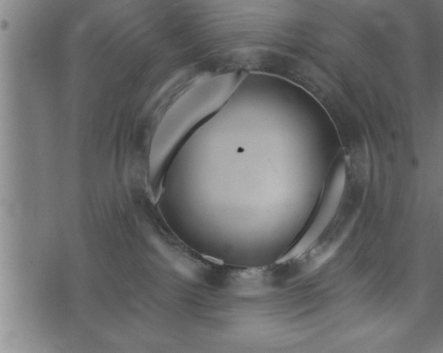 X0000073890092200608180944