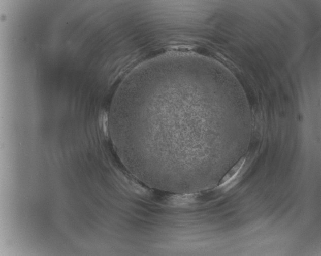 X0000073890094200608180944