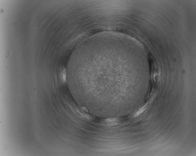 X0000073890095200608180944