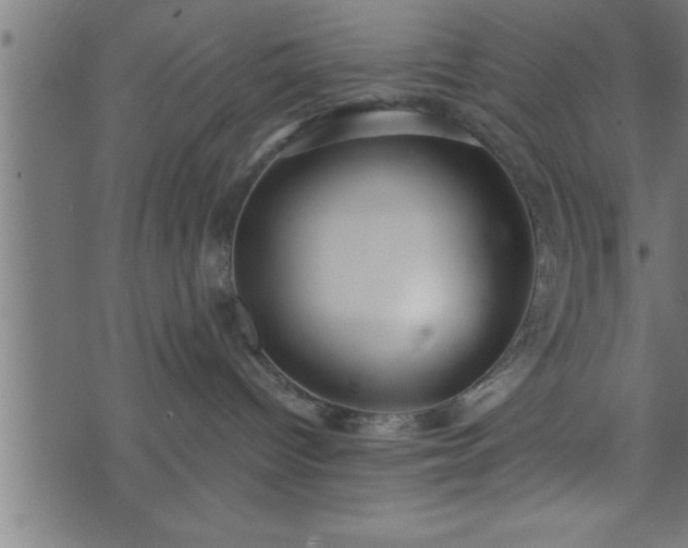 X0000073890096200608180944