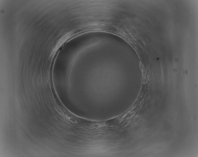 X0000073890099200608180944