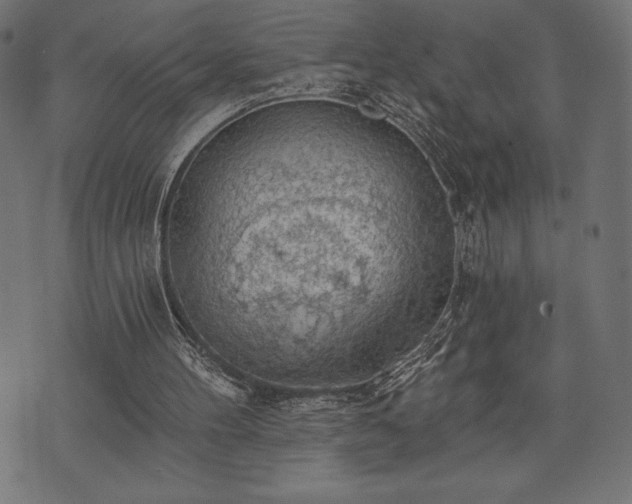 X0000073890100200608180944