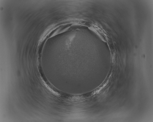 X0000073890101200608180944