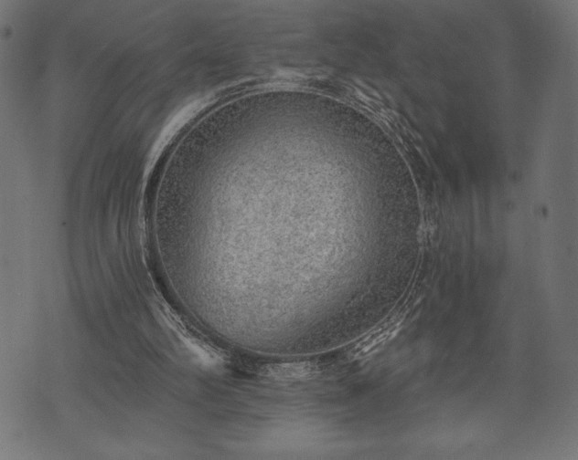 X0000073890102200608180943