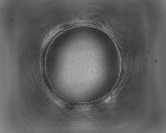 X0000073890103200608180943