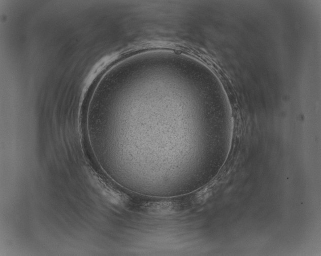 X0000073890104200608180943