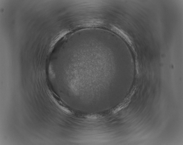 X0000073890105200608180943