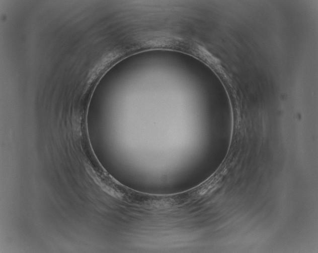 X0000073890106200608180943