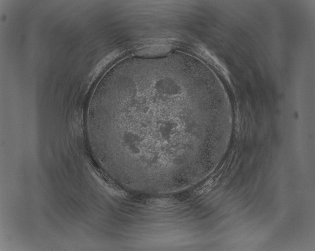 X0000073890107200608180943