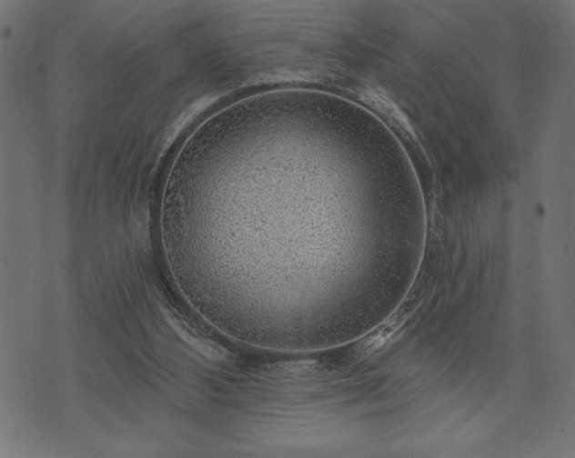 X0000073890108200608180943