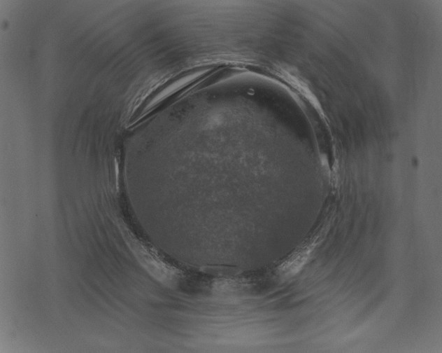 X0000073890109200608180943