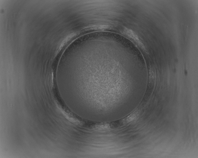 X0000073890110200608180943