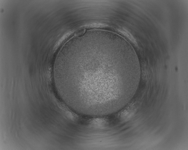 X0000073890111200608180943