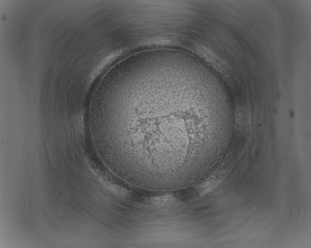 X0000073890112200608180943