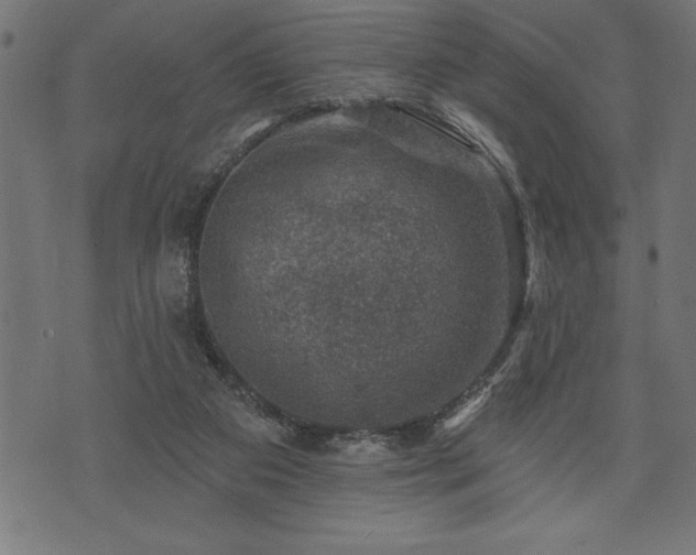 X0000073890113200608180943