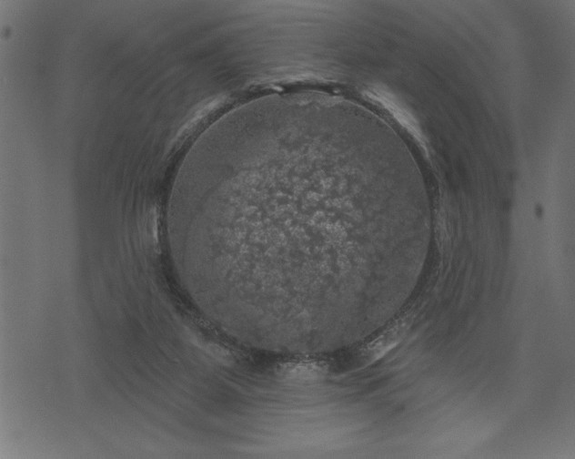 X0000073890115200608180943