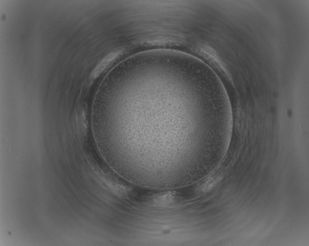 X0000073890116200608180943