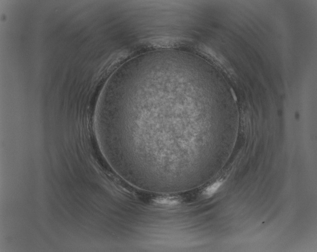 X0000073890117200608180943