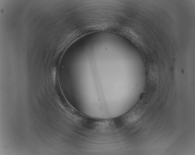 X0000073890118200608180943