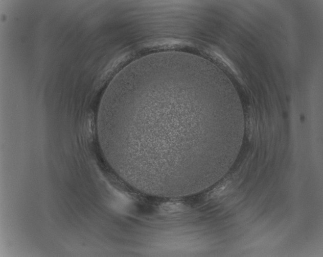 X0000073890119200608180943