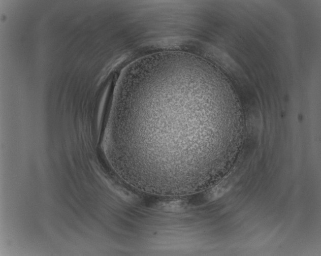 X0000073890120200608180943