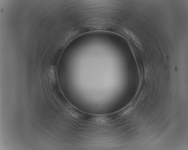 X0000073890121200608180943