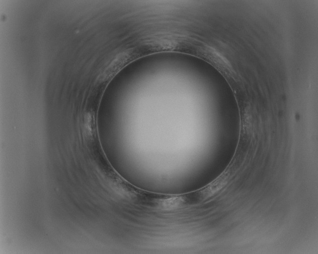 X0000073890122200608180943