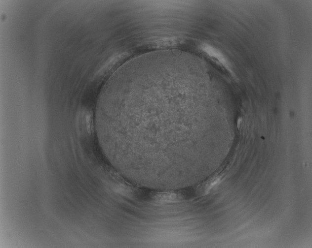 X0000073890123200608180943