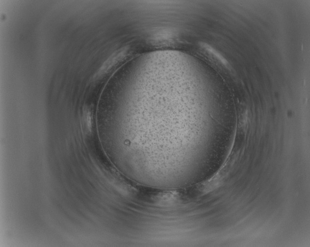 X0000073890124200608180943