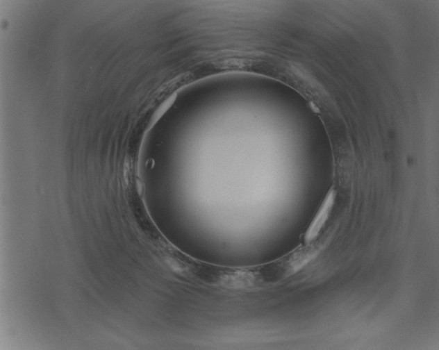 X0000073890125200608180943