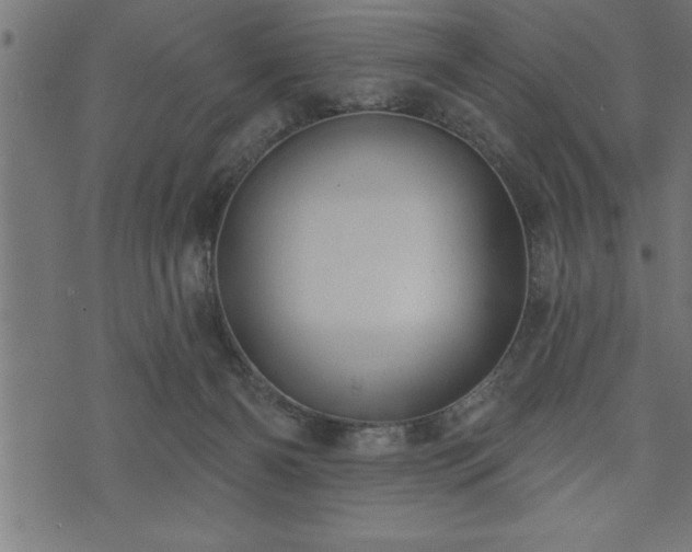 X0000073890126200608180943