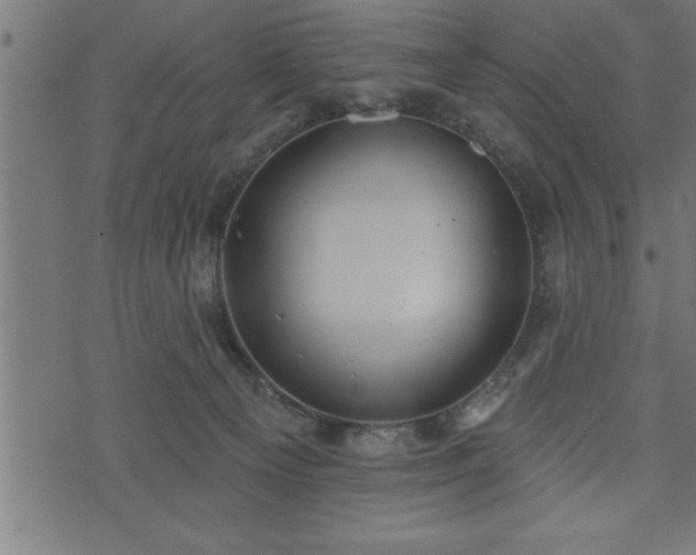 X0000073890129200608180943