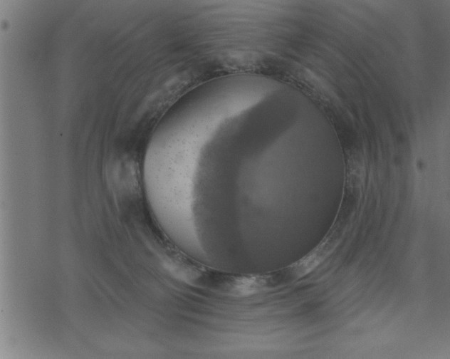 X0000073890130200608180943