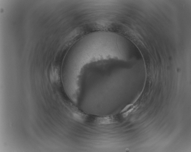 X0000073890131200608180943