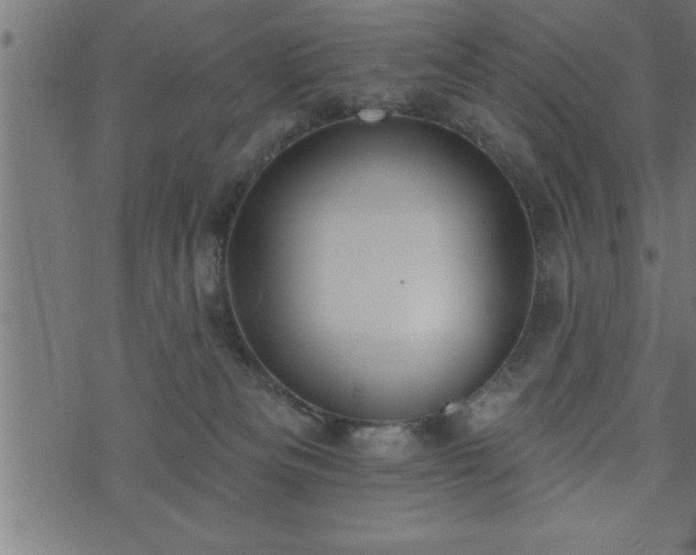 X0000073890133200608180943