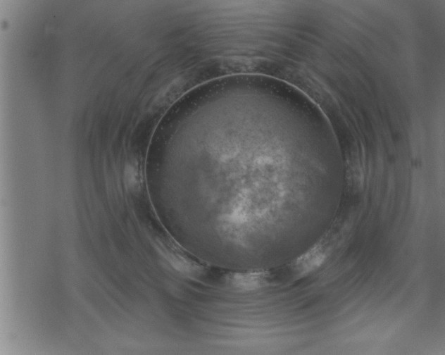 X0000073890134200608180943