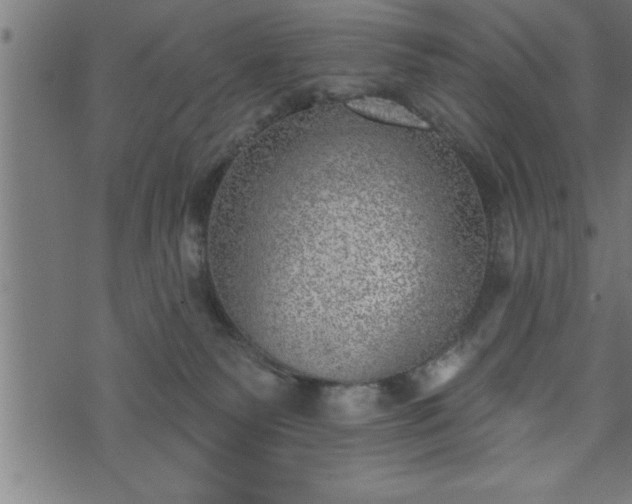 X0000073890135200608180943