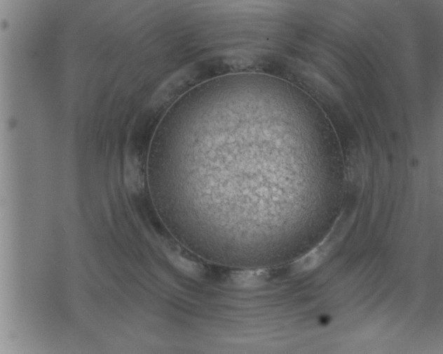 X0000073890136200608180943