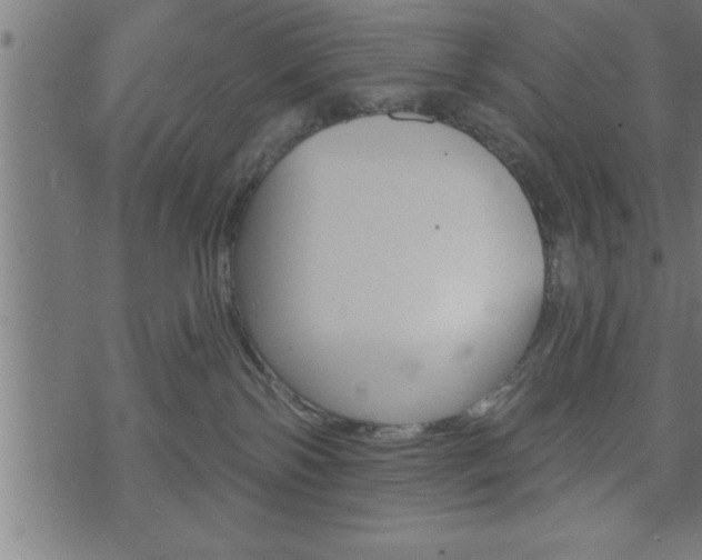 X0000073890138200608180943