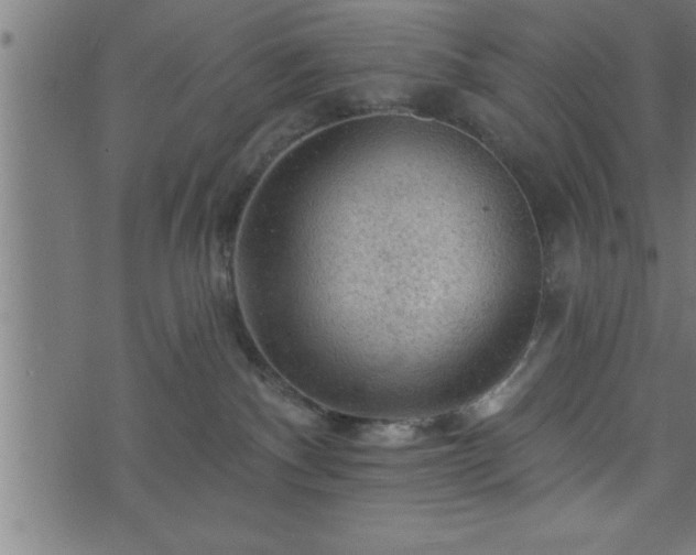 X0000073890140200608180943