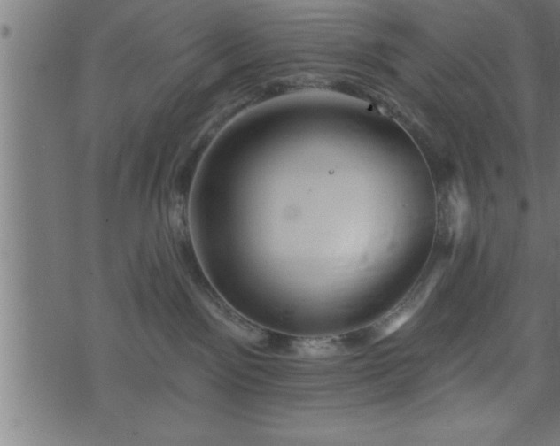 X0000073890141200608180943