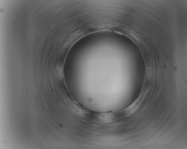 X0000073890142200608180943