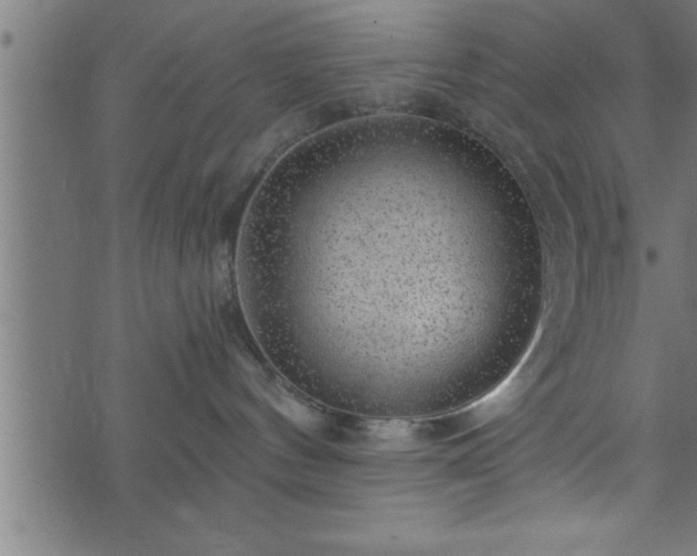 X0000073890144200608180943