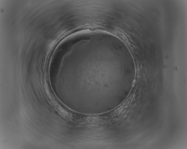 X0000073890145200608180942