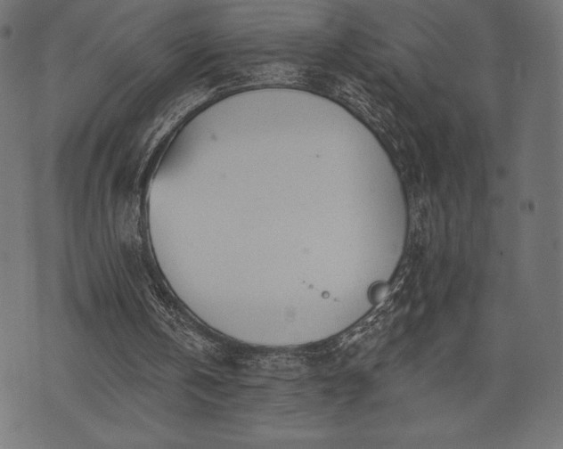 X0000073890146200608180942