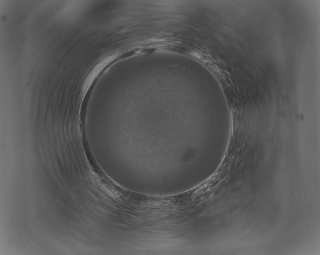 X0000073890147200608180942