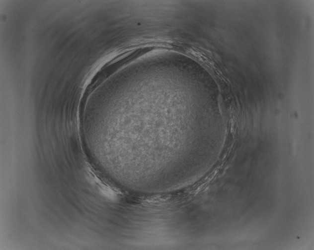 X0000073890148200608180942