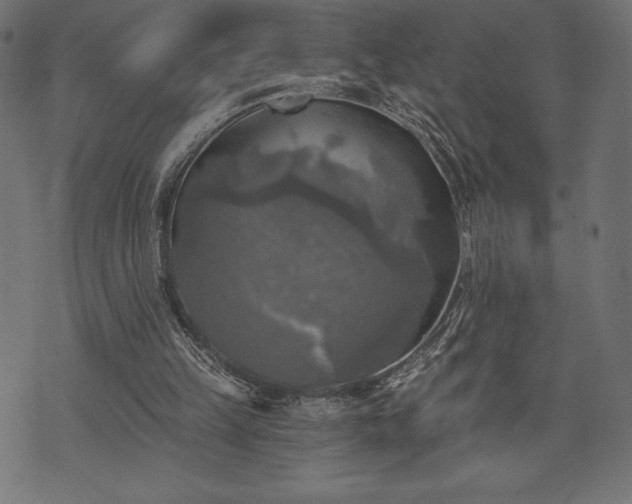 X0000073890149200608180942