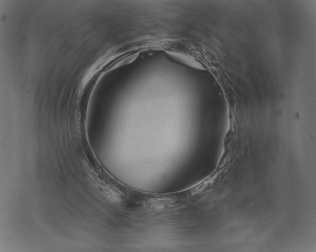 X0000073890150200608180942