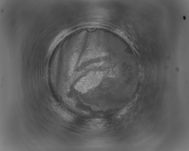 X0000073890151200608180942